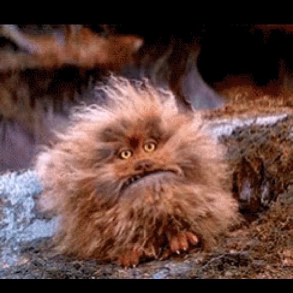 Best Friend True Love - Picture 5 of 13